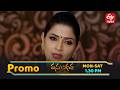 Vasundara Latest Promo | Episode No 242 | 9th March 2026 | ETV Telugu