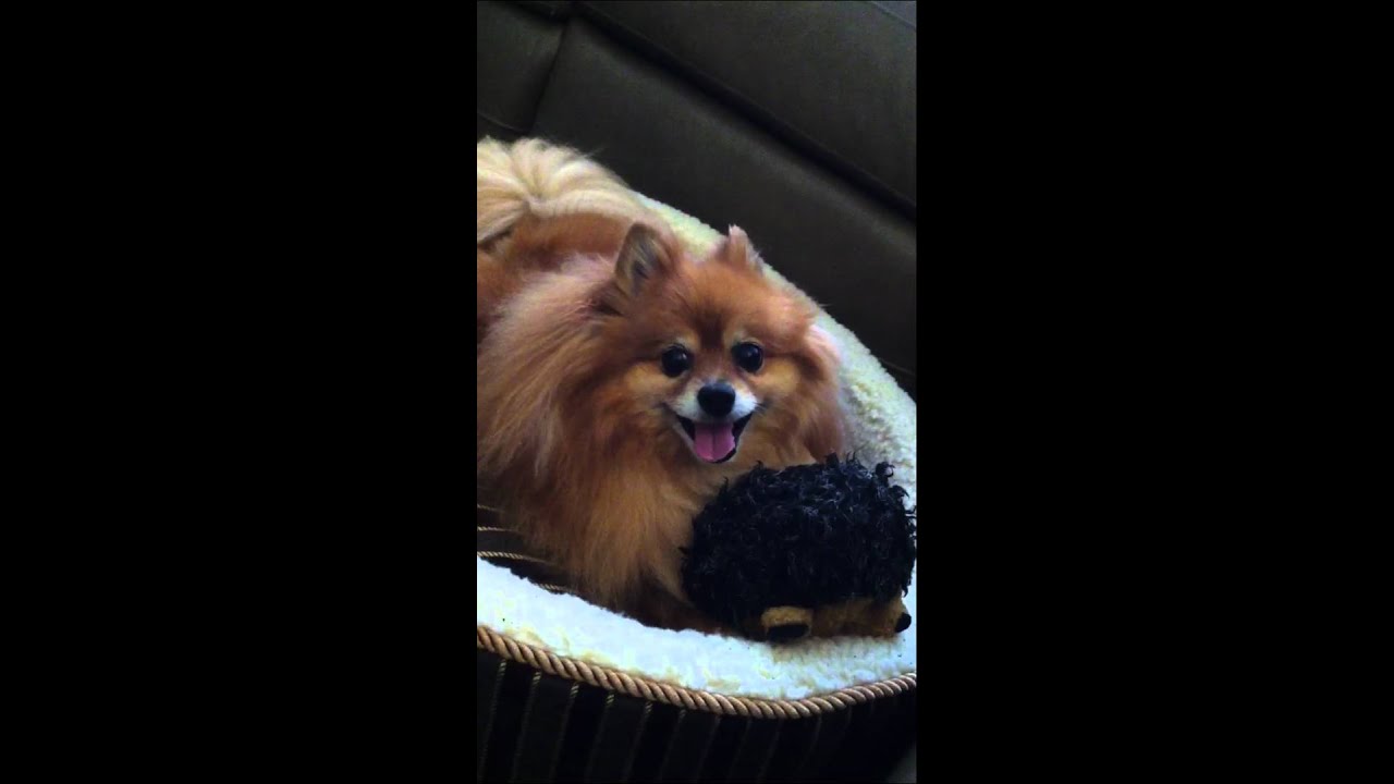 Emmy Lou Killing "Da Buhda"