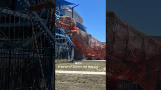 Tampa's MOSI Museum: Top Things to Do | Tampa Bay Attractions