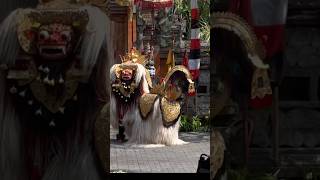 Download Lagu Traditional Barong Ket Dance #bali #mythical #lion #dragon#dance #good #spiritual #travel #tour #fun MP3 Download Lagu Traditional Barong Ket Dance #bali #mythical #lion #dragon#dance #good #spiritual #travel #tour #fun MP3