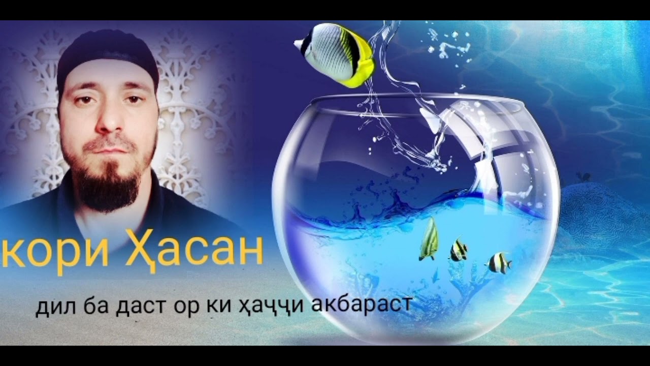 рукнхои хаччи акбар. картинка рузи ошикон. хасан дил взрослый. дуо форси. Hasan qori.