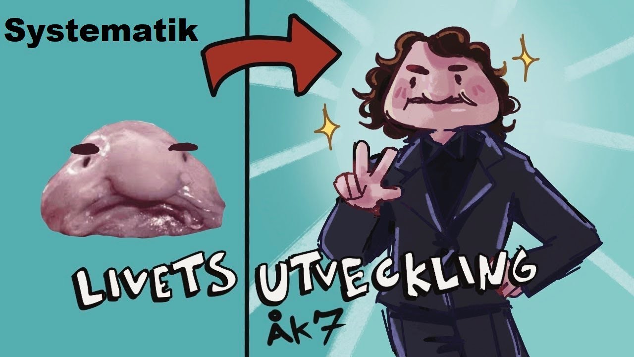 Åk 7 Livets utveckling del 1 Systematik