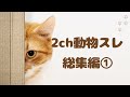 【2ch動物スレ総集編】高速道路の溝にハマったイノシシ可愛すぎワロタwwwwwwww／クッソキモイ外来種「キョン」他