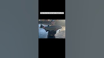 What’s the most ethical way to dispatch a fish?