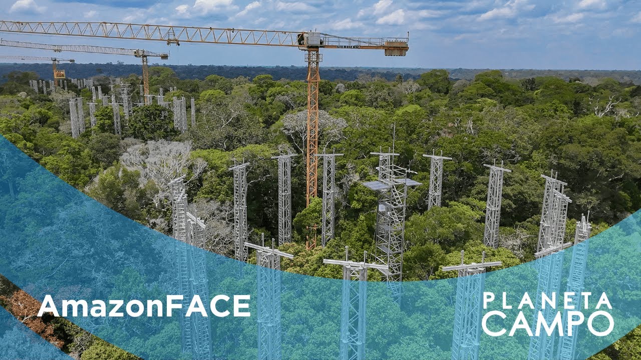 Mercado da soja e certificação 