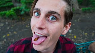 EATING GRASSHOPPERS IN MEXICO! - Travel Vlog