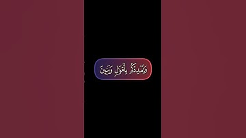 فقلت استغفروا ربكم إنه كان غفارا كروما قران كريم بدون حقوق حالات واتساب #quran #اكسبلور #المصحف #قرآ
