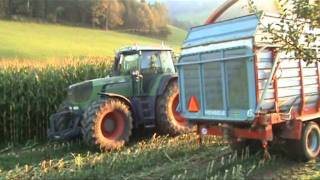 Mais Häckseln Und Pressen, Bächli-Hemberg, Frohwies