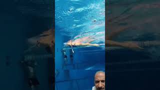 freestyle swimming#Flip turn#slow motion #youtubeshorts #viralvideo