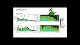 High-resolution surface phytoplankton community composition& implications for biogeochemical cycling