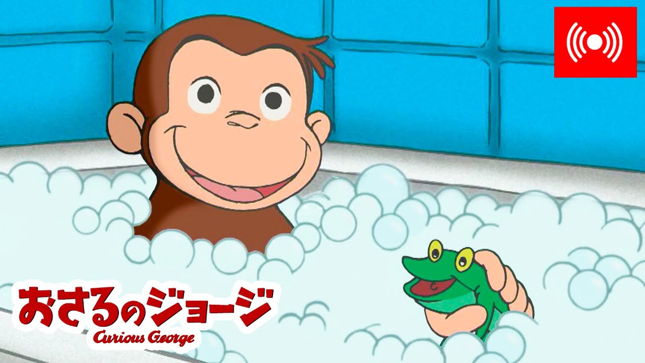 ライブ配信 🔴 おさるのジョージ 🐵 ジョージは泡風呂が大好き