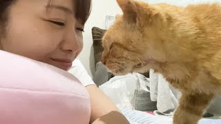 保護猫ライフ君、初めてスリスリしてきてくれました。