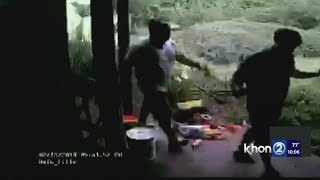Download Lagu 'He's not a racist': family of Hawaiian man found guilty of hate crime speaks out MP3 Download Lagu 'He's not a racist': family of Hawaiian man found guilty of hate crime speaks out MP3
