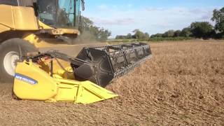 Pea harvesting at Malmesbury