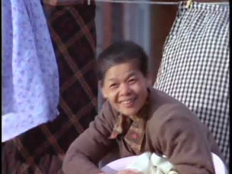 桂格  漢補天地 活灵芝广告