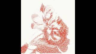 Creative Coding Elephant to Flower Wealth