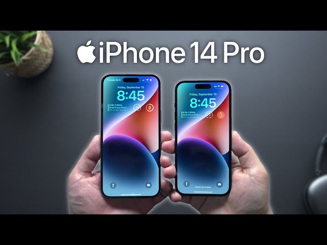 iPhone 14Pro 海外 iPhone 14 Pro 256GB - シルバー（SIMフリー）[整備済製品] - Apple