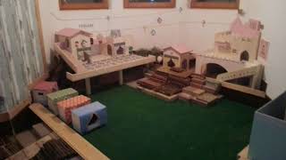 Das Indoor-Zimmer Der Pigbrothers