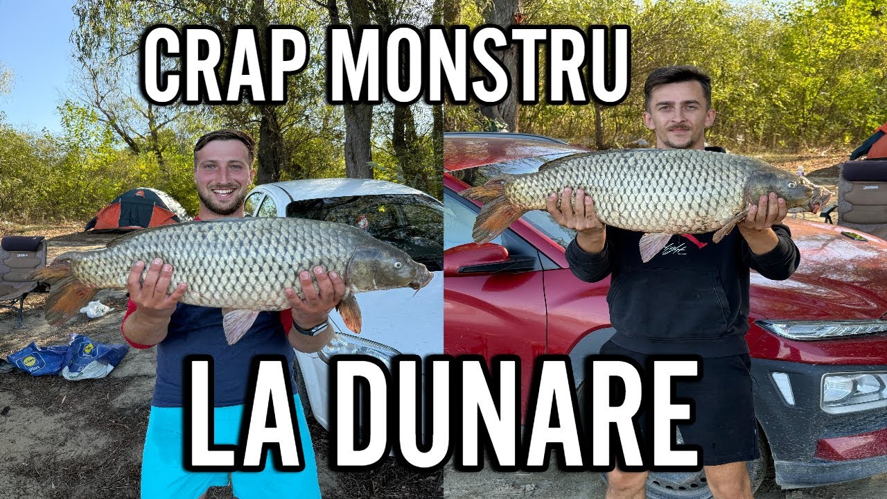 Pescuit la crap in Delta Dunarii - 5 zile magice