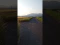 水前寺清子【だめでもともと】