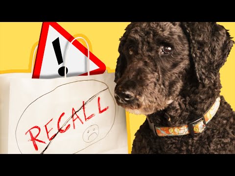 Vídeo: Nutrisca Dry Dog Food Recall