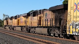 UP 8350 UP 7923 UP 8247 LEAD A SOUTHBOUND FREIGHT TRAIN WITH UP 6620 UP 8479 AS THE DPUS UP 8350 UP 7923 UP 8247 LEAD A SOUTHBOUND FREIGHT TRAIN WITH UP 6620 UP 8479 AS THE DPUS