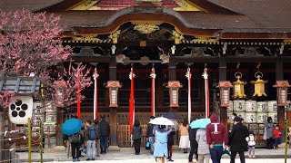 Staying Like a Local in Kyoto