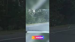 Idiots in Cars Car Crash Idiots In Cars Compilation Car Fail