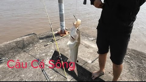 Một Ngày Đi Câu Cá Ngát Sông và cái kết