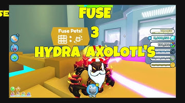 What happens if you fuse 3 HYDRA AXOLOTL  (Pet Simulator X)