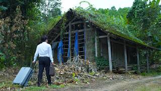 I Returned to the Forest Restoring an Abandoned House After Years – Incredible Change screenshot 5