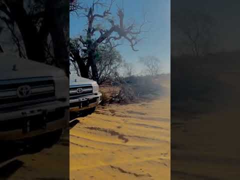 لزمنا الصمت يوم الصمت في بعض المواقف طيب