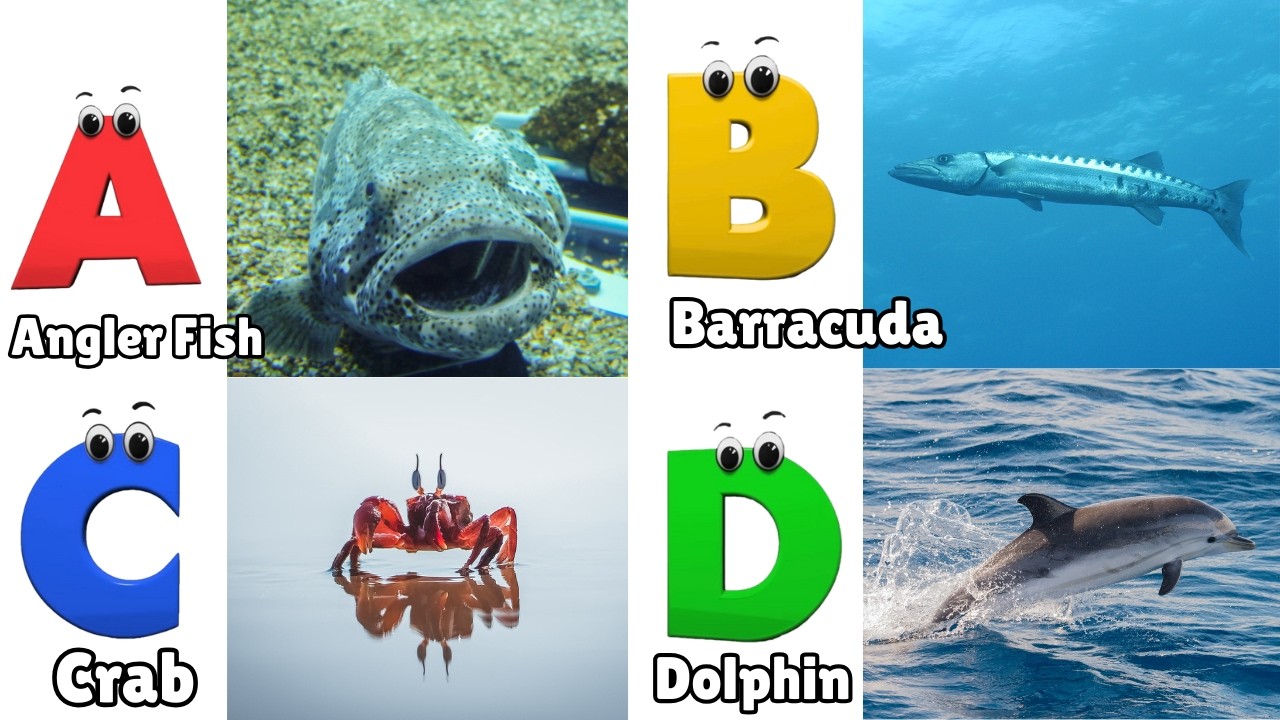 Песенка про алфавит | Песенка про морских животных | Фонетика для детей, изучение алфавита, буквы...
