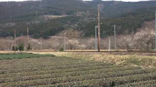 大井川鐵道 C56-44牽引 かわね路2号 抜里ー家山 間