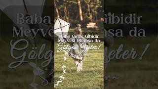 Baba Çınar Gibidir, Olmasa Da Gölgesi Yeter