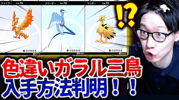 ポケモン三鳥vsサンチょ兎 ポケモン三鳥vsサンチょ兎