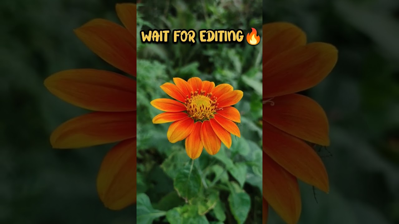 snapseed editing😍/