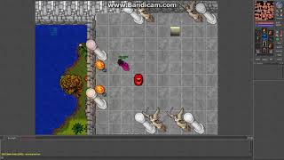 Tibia Mc 2017 08 22 10 23 46 790