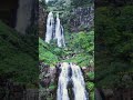 Shower by becky g! Calming scenery #cover #shower #calm #nature #beckyg