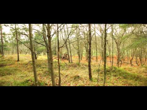 Silent Symphony - Revolution