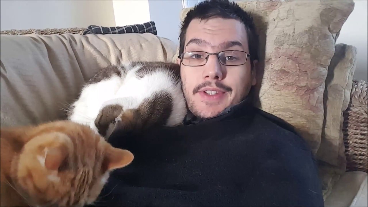 Sleep, Sheffield and Sciatica - Badgers life 11