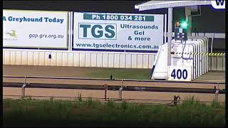 WGL TUE 20 NOV 18 R12