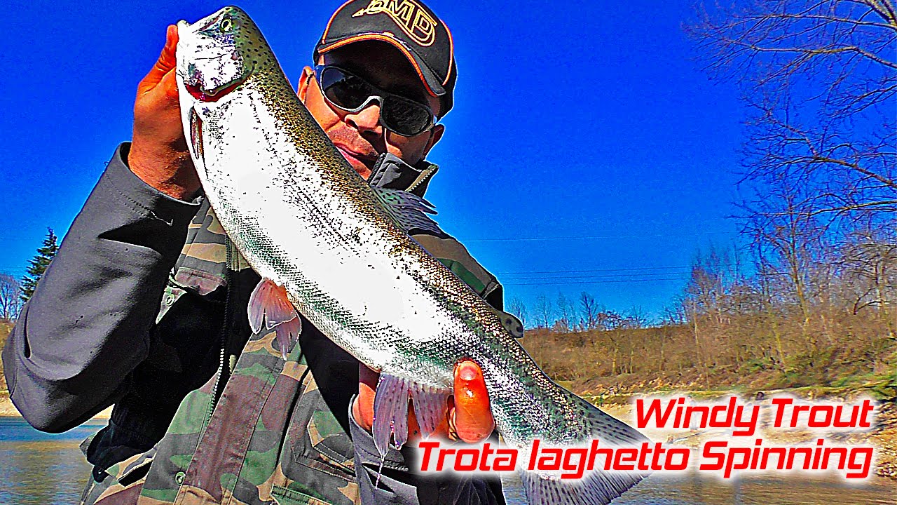 Trota Laghetto Spinning Lago Airone Lake Trout at Spinning Airone
