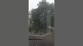 Чебурашка