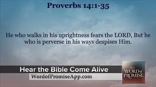 20 Proverbs 14 NKJV Word of Promise Bible Old Testament Scriptures
