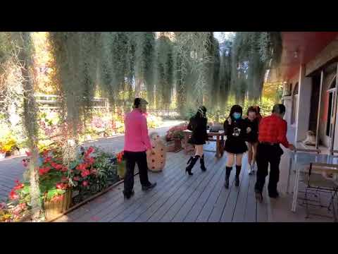辣椒兵團出遊賞花～菁芳園～二級疫情下自得其樂