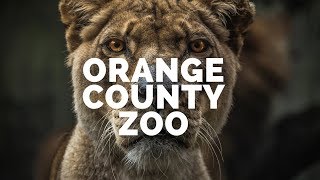 Orange County Zoo Humble Hiker