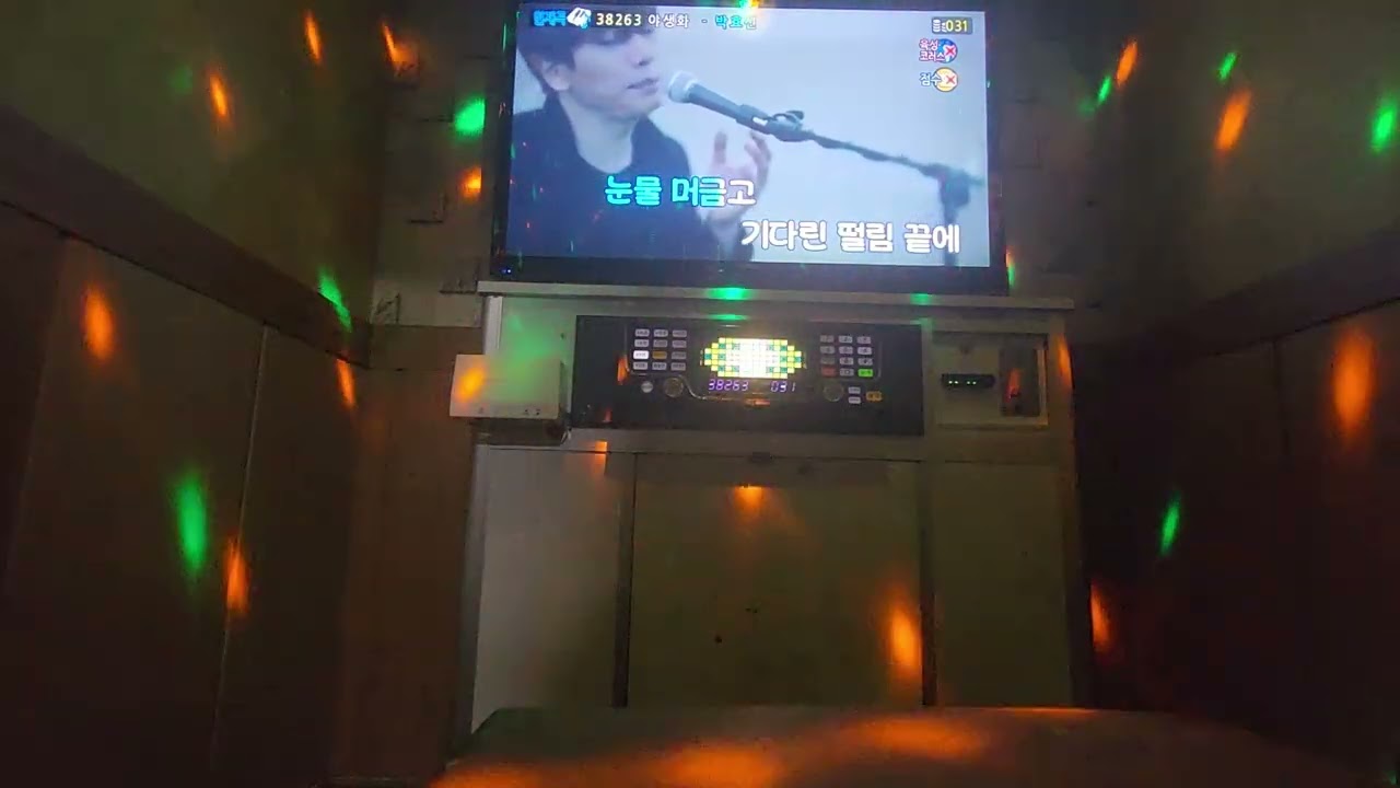 박효신 - 야생화 