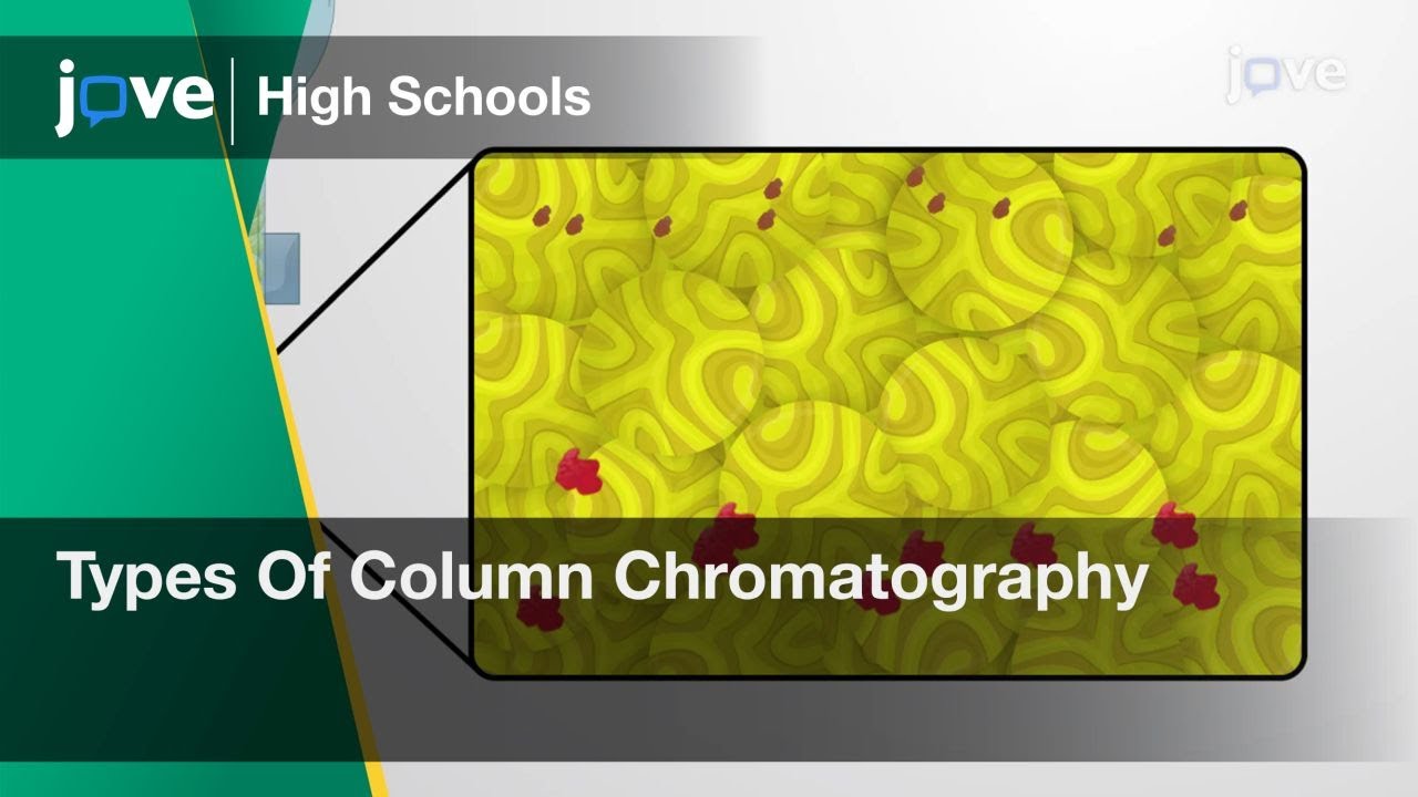 Types Of Column Chromatography Cell Bio Video Textbooks Preview