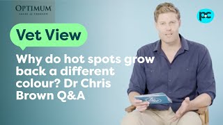 Dr Chris Brown Q&A: Why do hot #spots grow back a different colour? | PET CIRCLE